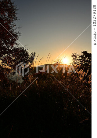 八上城からの雲海 八上城からの雲海 102279189