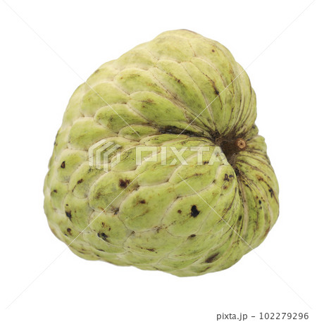 Custard apple or sugar apple isolated on white background 102279296