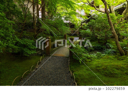 古都京都 八瀬の夏 新緑の瑠璃光院 山露地の庭 古都京都 八瀬の夏 新緑の瑠璃光院 山露地の庭 102279859