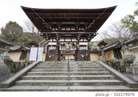 お酒の神様を祀る松尾大社(京都市嵐山) お酒の神様を祀る松尾大社(京都市嵐山) 102279876
