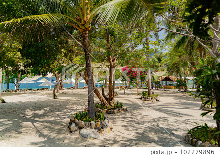 Beach holidays. 102279896