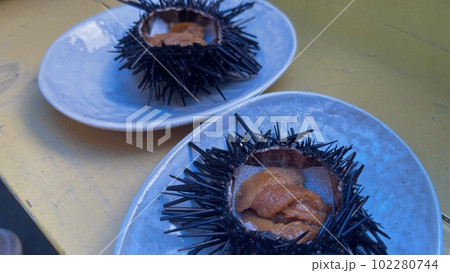 ムラサキウニ　美味しい焼きウニ　海鮮　ご馳走　海の幸　雲丹 102280744
