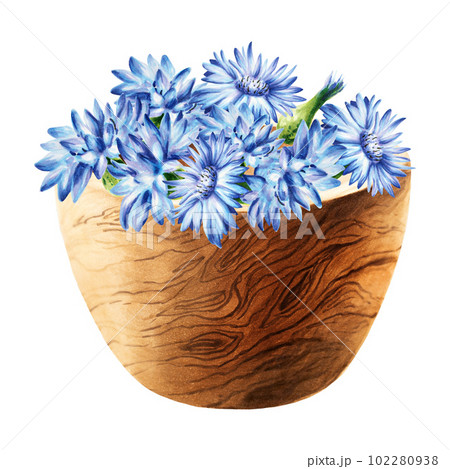 Watercolor wooden mortar with cornflowers isolated on white background. Beauty products and botany elements, cosmetology and medicine. For designers, spa decoration, postcards, wrapping paper 102280938