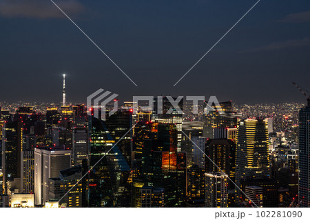 【東京都】東京スカイツリーと高層ビル群の夜景 【東京都】東京スカイツリーと高層ビル群の夜景 102281090