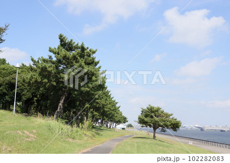 東京都江東区の若洲海浜公園の風景 102282083