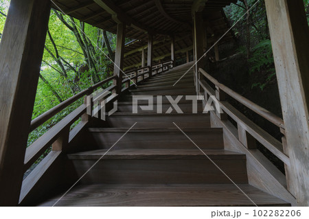 夏の京都　永観堂の臥龍廊 102282206