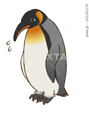 悲しむキングペンギン 102282276