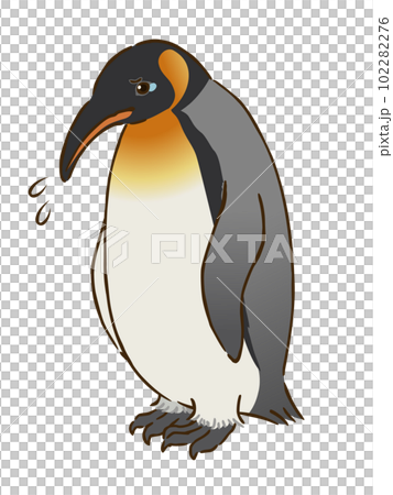 悲しむキングペンギン 102282276