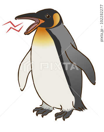 怒るキングペンギン 102282277