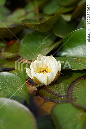 training training 102282369