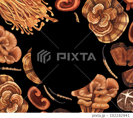 Watercolor medicinal mushroom frame, adaptogenic plant. Hand-drawn illustration isolated on black background. Perfect concept for healthy chinese medicine popular superfood, design packing 102282941