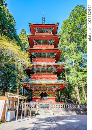 春の日光東照宮　五重塔　栃木県日光市春の日光東照宮　五重塔　栃木県日光市 102282994