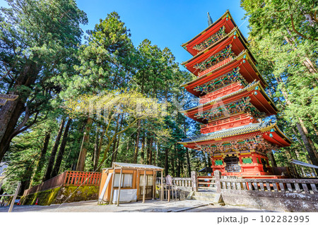 春の日光東照宮　五重塔　栃木県日光市 102282995