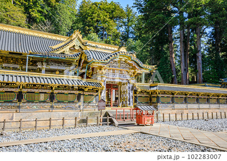 春の日光東照宮　唐門　栃木県日光市 102283007