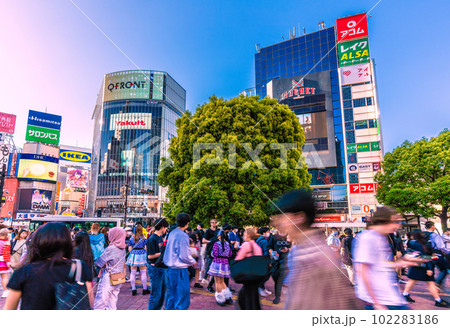 日本の東京都市景観 5月。渋谷駅前はコロナ禍前の賑わい。マスク無しの方増加で巨大感染爆発は無し＝2日 102283186