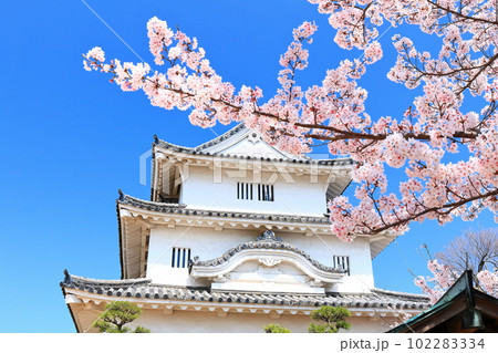 【香川県】桜咲く春の丸亀城(現存天守と石垣の名城) 【香川県】桜咲く春の丸亀城(現存天守と石垣の名城) 102283334