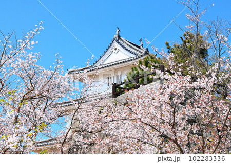 【香川県】桜咲く春の丸亀城(二の丸から見た天守と二の丸に咲く桜) 【香川県】桜咲く春の丸亀城(二の丸から見た天守と二の丸に咲く桜) 102283336