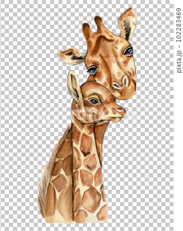 Watercolor giraffe illustration, Cartoon tropical animal , exotic summer jungle design.Hand drawn. Designf for baby shower party, birthday, cake, holiday celebration design, greetings card,invitation. 102283469