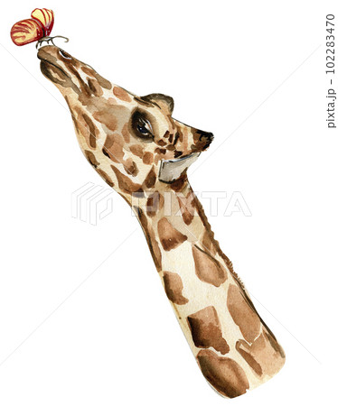 Watercolor giraffe illustration, Cartoon tropical animal , exotic summer jungle design.Hand drawn. Designf for baby shower party, birthday, cake, holiday celebration design, greetings card,invitation. 102283470