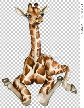 Watercolor giraffe illustration, Cartoon tropical animal , exotic summer jungle design.Hand drawn. Designf for baby shower party, birthday, cake, holiday celebration design, greetings card,invitation. 102283471