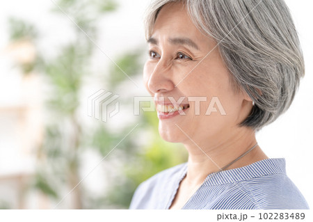 ビューティー　シニア　女性　ポートレート 102283489
