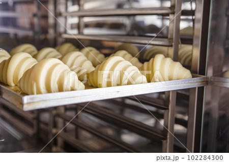 Bake proofed croissant dough on sheet Bake proofed croissant dough on sheet 102284300