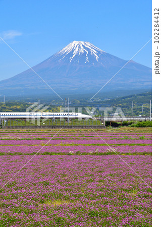 春　富士山　花畑　新幹線 102284412