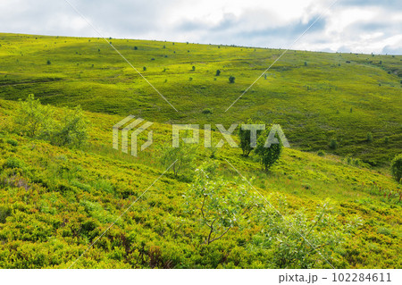 countryside scenery with meadow in mountains. grassy rolling hills beneath a cloudy sky countryside scenery with meadow in mountains. grassy rolling hills beneath a cloudy sky 102284611