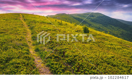 trail through grassy meadow. carpathian mountain landscape at sunset beneath a colorful sky 102284617