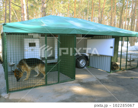 Sad army dog, German shepherd, sitting inside of a cage of a military mobile aviary. Staroe, Ukraine 102285067