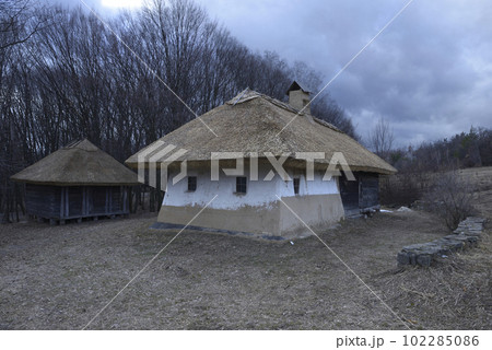 Traditional Ukrainian rural household of 17 century, wooden house, barn, forest 102285086