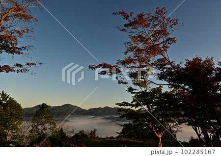 八上城からの雲海 八上城からの雲海 102285167