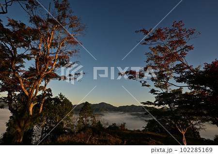 八上城からの雲海 八上城からの雲海 102285169