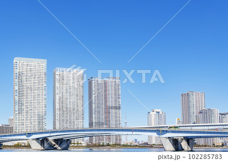 東京都中央区晴海　快晴の晴海の超高層マンション群（タワーマンション）と周辺の街並み 102285783