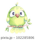 Cute watercolor bird on a branch. Isolated on white background. 102285806