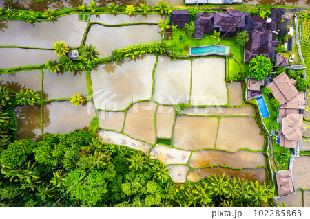 Aerial view of residential area in Ubud, Bali, Indonesia 102285863