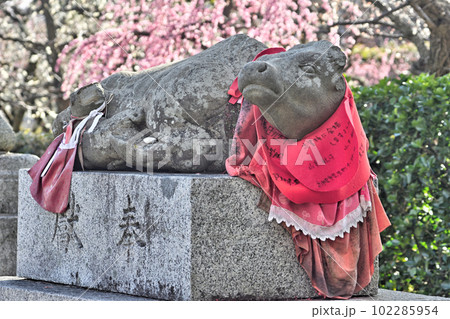 北野天満宮と撫牛 102285954