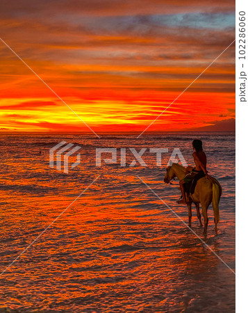 Horse riding during sunset in Gili Trawangan beach in Lombok, Indonesia Horse riding during sunset in Gili Trawangan beach in Lombok, Indonesia 102286060