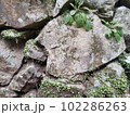 日本の石垣 102286263