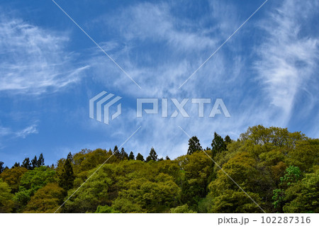新緑の山と青空 102287316