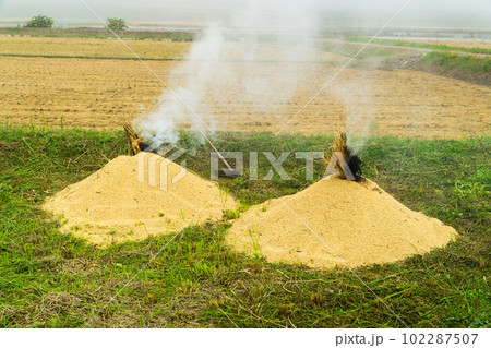 朝霧が立ち込める中で籾殻焼きを行っている風景2　岡山県美作市 102287507
