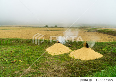 朝霧が立ち込める中で籾殻焼きを行っている風景4　岡山県美作市 102287509