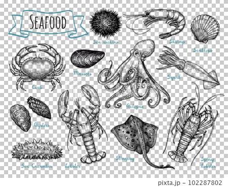 Seafood ink sketch set. 102287802