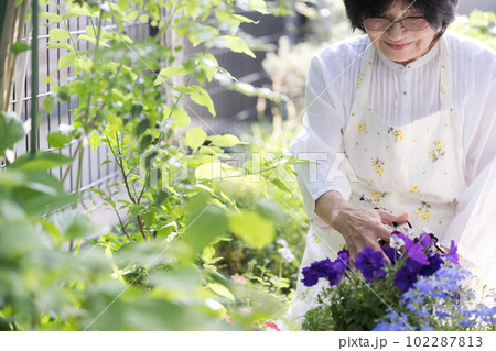 園芸 庭の手入れをする高齢女性のイメージ コピースペースあり うつむいて微笑む 園芸 庭の手入れをする高齢女性のイメージ コピースペースあり うつむいて微笑む 102287813