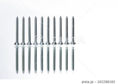 スクリューネジ 102288183