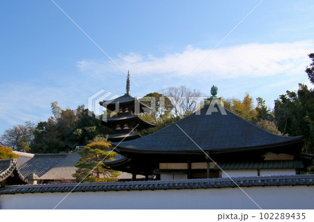 奈良県葛城市にある当麻寺の中之坊、その後には東塔 102289435