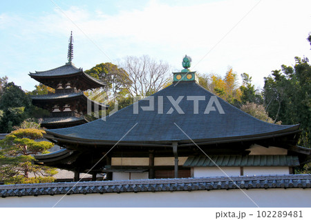 奈良県葛城市にある当麻寺の中之坊、その後には東塔 102289481