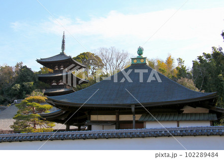 奈良県葛城市にある当麻寺の中之坊、その後には東塔 奈良県葛城市にある当麻寺の中之坊、その後には東塔 102289484