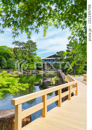 新緑の徳川園〈愛知県名古屋市〉 新緑の徳川園〈愛知県名古屋市〉 102289706