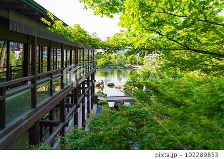 新緑の徳川園〈愛知県名古屋市〉 新緑の徳川園〈愛知県名古屋市〉 102289853